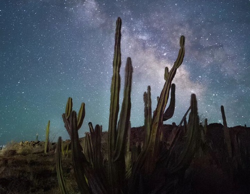 Galeria de Fotografia de Andres Valle - México