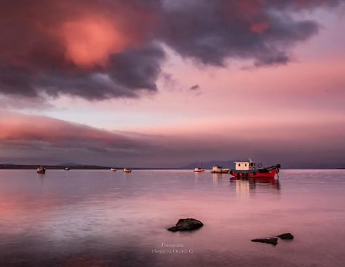 Gallery Of Photography By Homayra Oyarce G - Chile