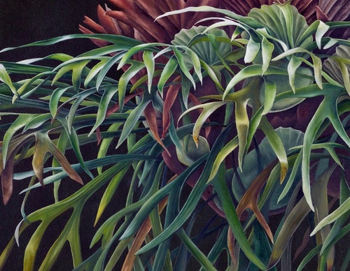 Gallery Of Visual Art By Carlo Batistella - Brazil
