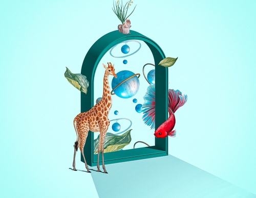 Gallery Of Illustration By Fnobre - Brazil