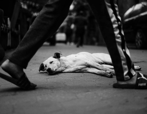 Gallery of photography by Ahmed Mansour - Egypt
