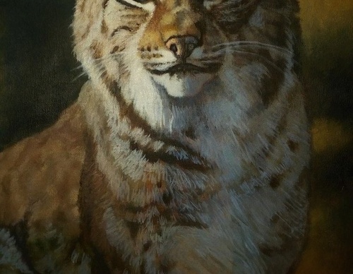 jorge castrillon