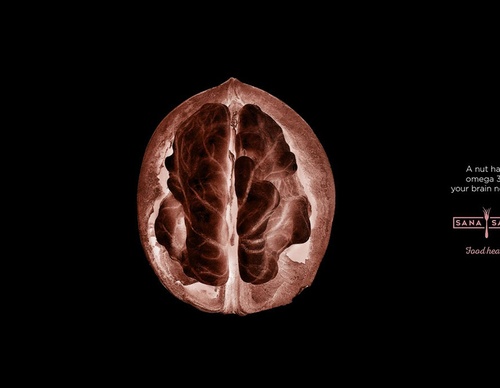 gitanos studio