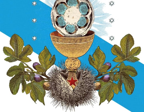 celsius pictor