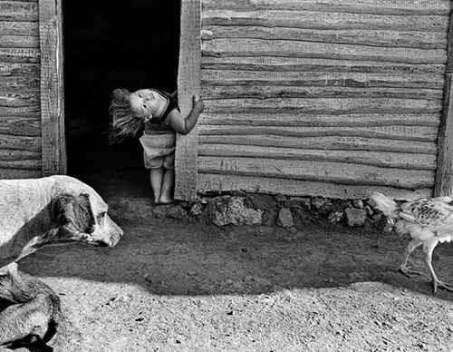 raul canibano