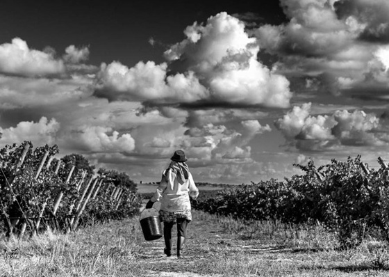 A fotografia documental na América Latina