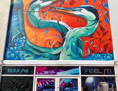 Gallery Of Street Art By Fio Silva - Argentina
