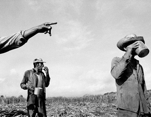 raul canibano