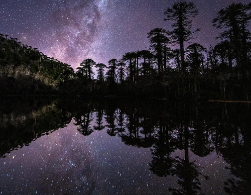 Gallery Of Photography By Fernando Gudenschwager - Chile