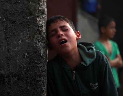 Galería de fotografías de Mohammed Zaanoun - Palestina