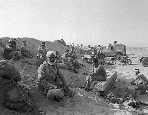 bahram mohammadifard