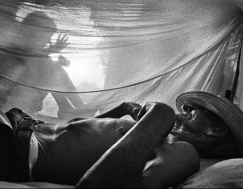 raul canibano