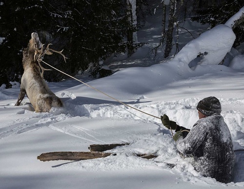 jonas bendiksen