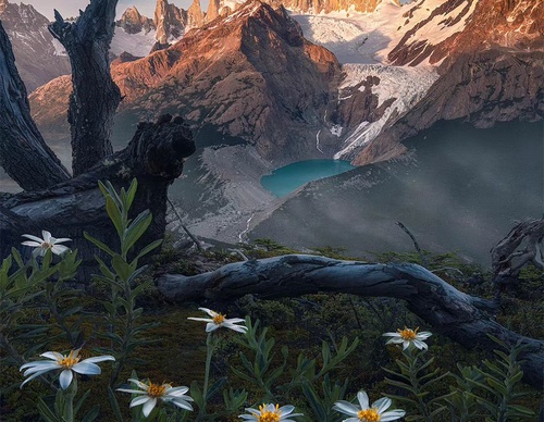 Gallery Of Photography By Max Rive - Netherlands