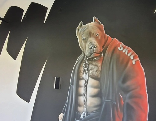 Gallery Of Street Art By Diego Forms - Brazil