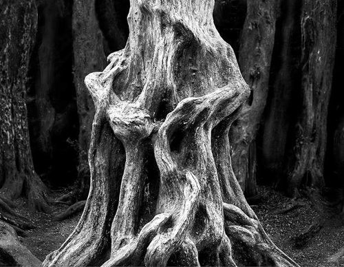 Gallery Of Photography By Diego Ortiz Mugica - Argentina