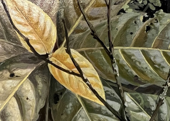 Gallery Of Painting By Maurício Barbato-Brazil