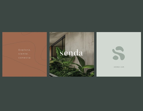 gitanos studio