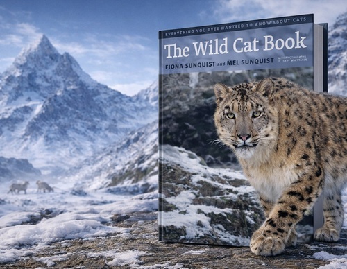 The Wild Cat Book | With Photographs by Terry Wittaker