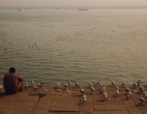 Gallery Of Photography By Hugo Santarem Rodrigues - Brazil
