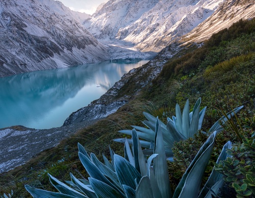 Galeria de fotografias de William Patino - Nova Zelândia