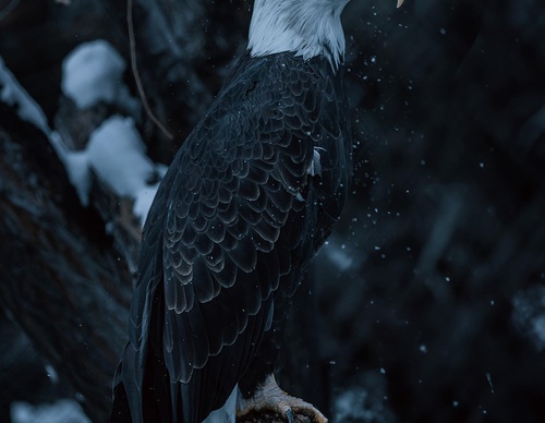 Gallery Of Photography By Chris Henry - USA