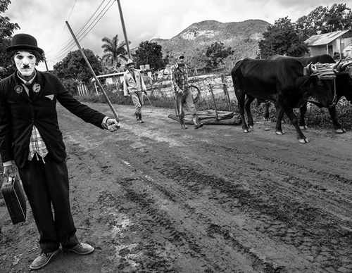 raul canibano