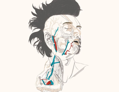 best illustrators worldwide