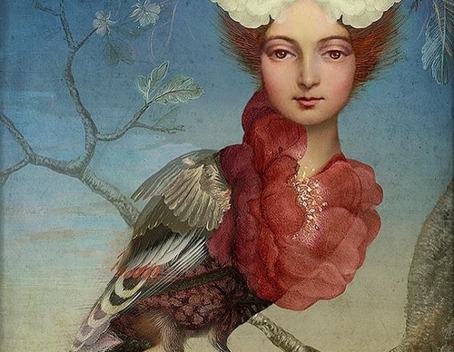 Galeria de ilustrações de Catrin Welz Stein - Alemanha