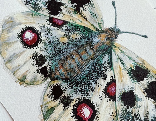 Gallery Of Painting By Rita Gould - United Kingdom