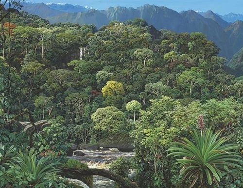 Gallery Of Painting By Maurício Barbato-Brazil