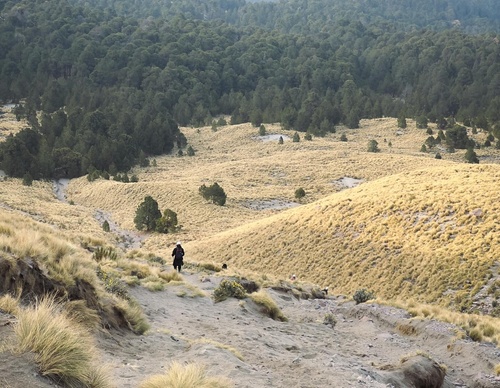 holanahual