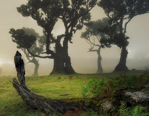 Galería de fotografía de Jorge Reinaldo - Portugal