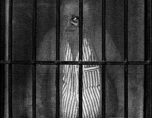 raul canibano