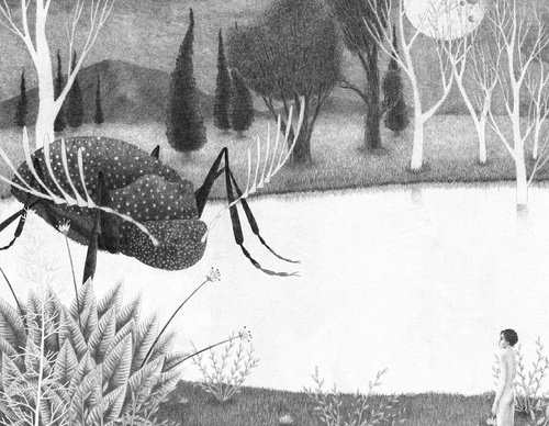 Galeria de ilustrações de Alefes Silva-Colômbia