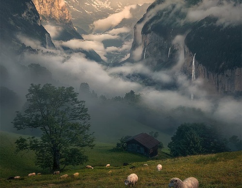 Gallery Of Photography By Max Rive - Netherlands