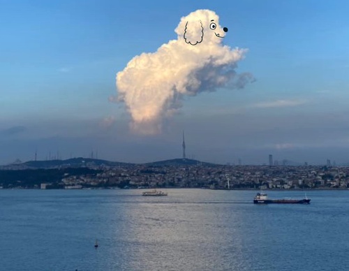 Gallery Of Illustration With Clouds By Chris Judge - Ireland
