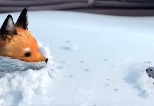 A Fox And A Mouse