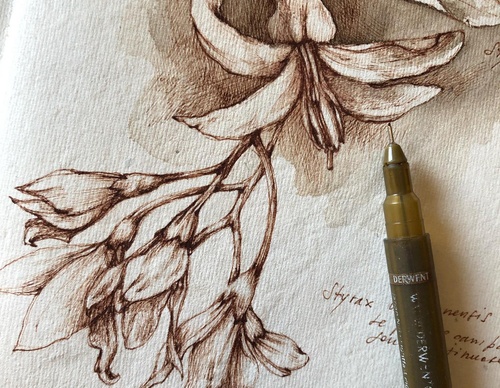 Gallery of Drawing by GiacoMina Ferrillo-Italy