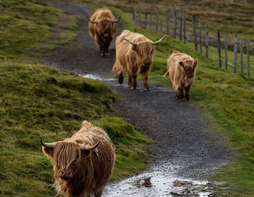 Gallery Of Photography By Mads Peter - Danish