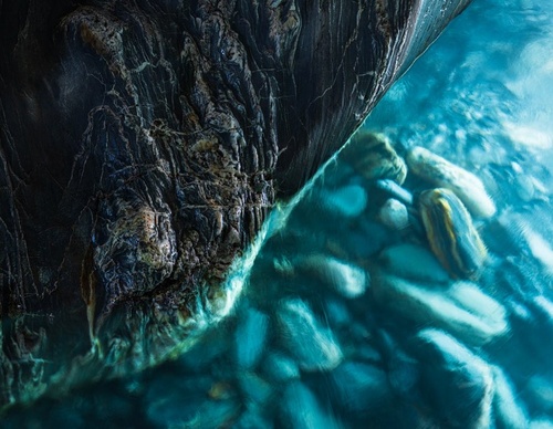 Galeria de fotografias de William Patino - Nova Zelândia