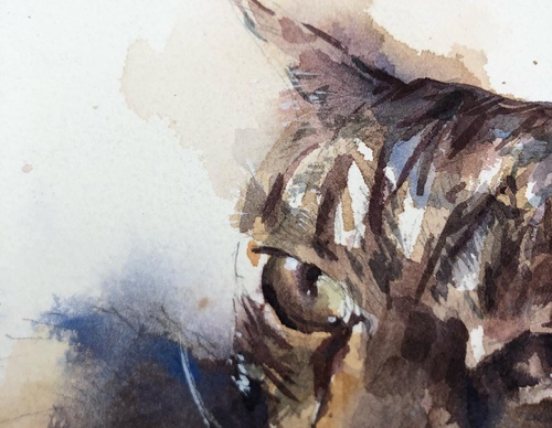 Gallery Of WaterColor Painting By Xavier Palau Blacio - Argentina