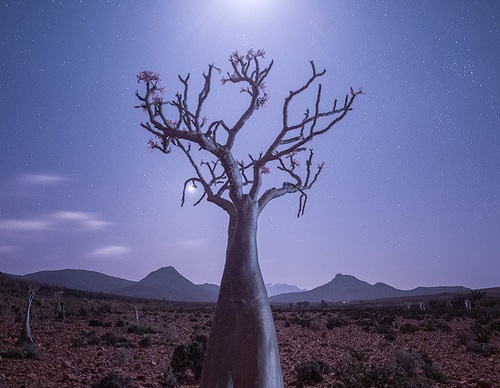 Gallery Of Photography By Isabella Tabacchi - Chile