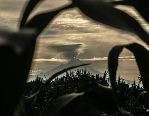 Gallery Of Photography By Sebastian Suki Belaustegui - Brazil