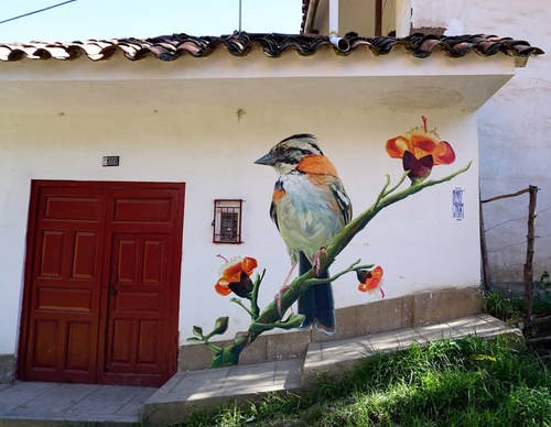 Gallery Of Street Art By Henry Chram - Peru