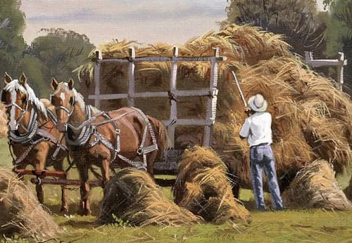 Gallery Of Painting By José Rosário Castro - Brazil