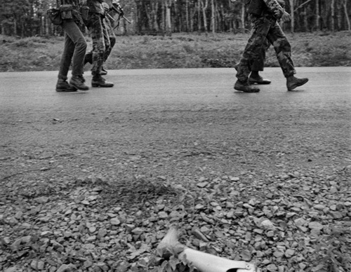 bruno barbey