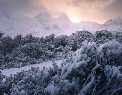 Galeria de fotografias de William Patino - Nova Zelândia