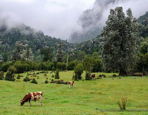 Gallery Of Photography By Gerhard Hüdepohl - Chile