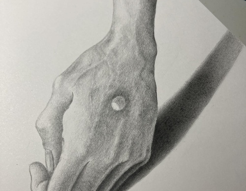 reynaldo bisetti pereyra